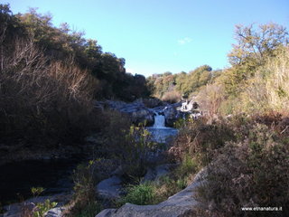 cantara gurne06-01-2013 12-23-22
